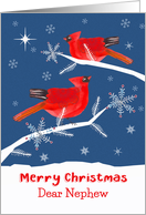 Dear Nephew, Merry Christmas, Cardinal Bird, Winter card