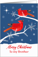 To my Brother, Merry Christmas, Cardinal Bird, Winter card