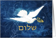 Shalom, Peace in Hebrew, Vintage Dove, Olive Branch card