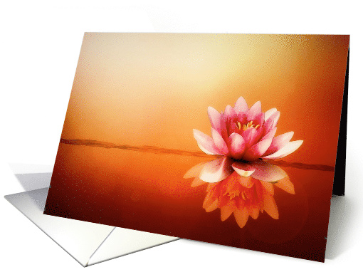 Blank Note Card, Beautiful White Pink Lotus Flower,... (1554284)