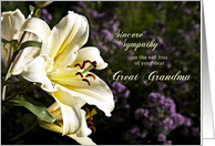 Sympathy card on the death of a great grandma. card