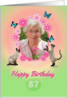 87th Birthday card with cats and butterflies, add photo and name card