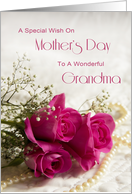 Grandma, a special wish on Mother’s Day with roses and pearls card