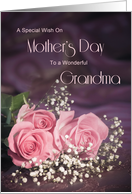 Grandma, a special wish on Mother’s Day with roses card