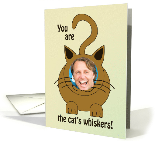 Add a face to this cute birthday cat card (1432372)
