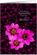 Sympathy on the loss of a brother card