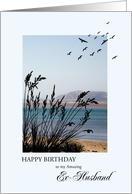 Ex-Husband Birthday, Seaside Scene card