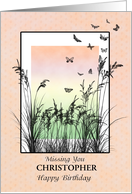 Add a Name, Missing You Birthday, Grass and Butterflies card