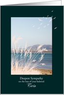 Sympathy Loss of Twin, with Birds and a Seaview card