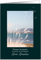 Sympathy Loss of Great Grandson, with Birds and a Seaview card