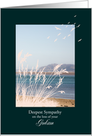 Sympathy Loss of Godson, with Birds and a Seaview card