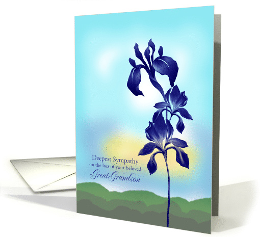 Sympathy Loss of Great Grandson, with Purple Flowers card (1607782)