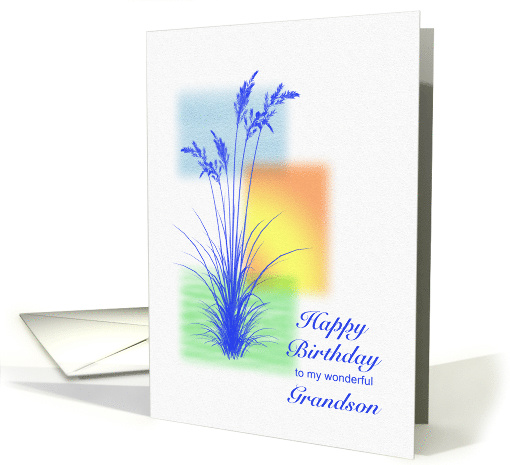 Grandson, Happy Birthday, with Grasses card (1609970)