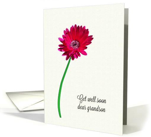 Grandson Get Well Soon Painted Flower card (1620514)