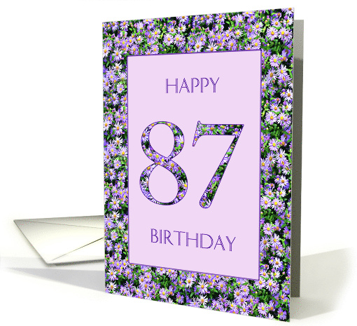 87th Birthday Purple Daisies card (1662188)