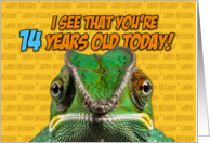 I See That You’re Fourteen Years Old Today Chameleon card