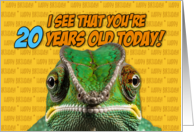 I See That You’re Twenty Years Old Today Chameleon card