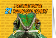 I See That You’re 21 Years Old Today Chameleon card