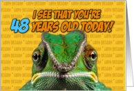 I See That You’re 48 Years Old Today Chameleon card