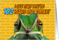 I See That You’re 102 Years Old Today Chameleon card