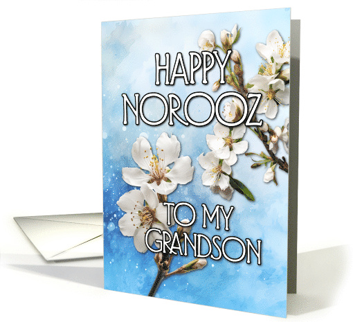 Happy Norooz Almond Blossom to my Grandson card (1767454)