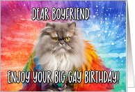 Boyfriend Big Gay Birthday Persian Cat card