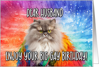 Husband Big Gay Birthday Persian Cat card