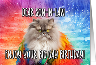 Son in Law Big Gay Birthday Persian Cat card