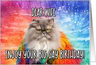 Wife Big Gay Birthday Persian Cat card