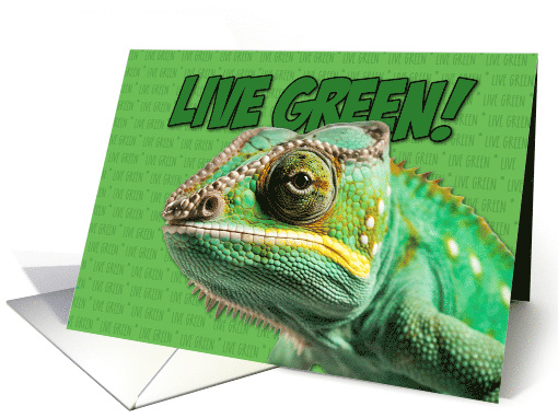 Live Green Chameleon card (1770386)