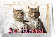 Wedding Annoucement Just Meowied Cats card