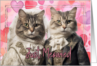 Wedding Annoucement Just Meowied Cats card