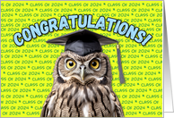 Class of 2024 Graduation Congratulations card