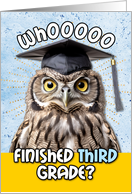 Third Grade Graduation Congratulations Owl card