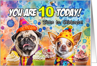 10 Years Old Pug and Chihuahua Cupcakes Birthday card