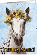 Congratulations New Pet Horse card