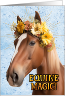 Congratulations New Pet Horse card