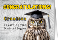 Grandson Doctoral Degree Congratulations Owl card