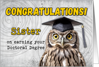 Sister Doctoral Degree Congratulations Owl card