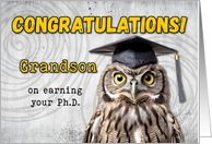 Grandson Ph.D. Congratulations Owl card