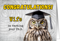 Wife Ph.D. Congratulations Owl card
