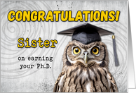 Sister Ph.D. Congratulations Owl card