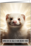 Pet Ferret Condolences card