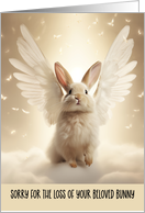 Pet Rabbit Condolences card