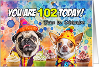 102 Years Old Pug and Chihuahua Cupcakes Birthday card