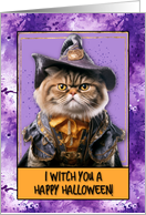Halloween Exotic Shorthair Cat Witch card