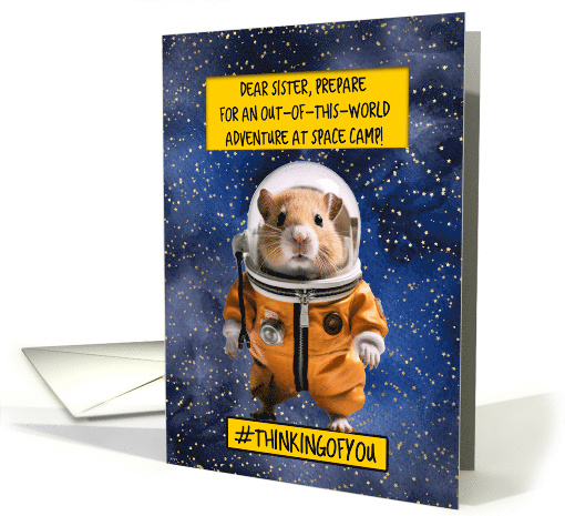Sister Space Camp Hamster card (1779468)