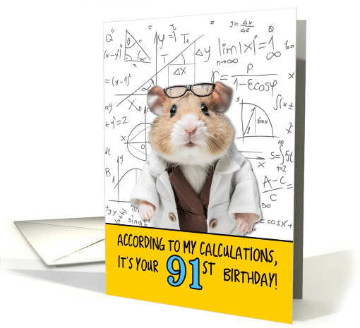 91 Years Old Birthday Math Hamster card (1782794)