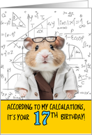 17 Years Old Birthday Math Hamster card