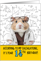 14 Years Old Birthday Math Hamster card